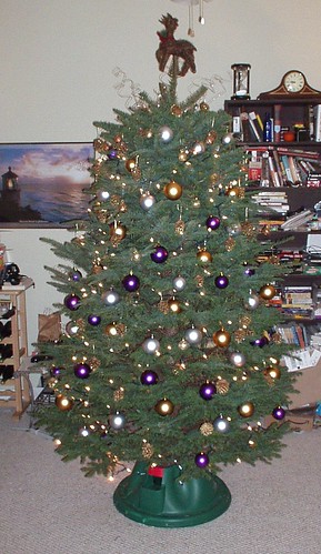 Christmas Tree 2005