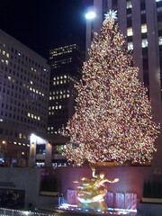 Christmas Tree at the Rockefeller Center