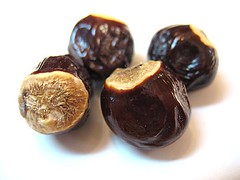 Unknown Tropical Fruit Seeds