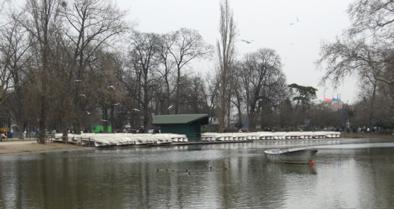 Paris Bois de Vincennes (far away, the boats)