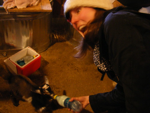 Linnea feeds a baby goat