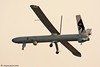 BBIWY - Elbit Systems Hermes 450 UAV  Israel Air Force