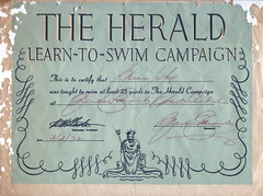 THE HERALD LEARN-TO-SWIM CAMPAIGN