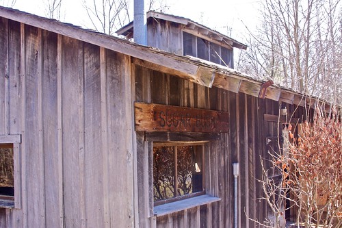 Maple syrup building at Forest Glen