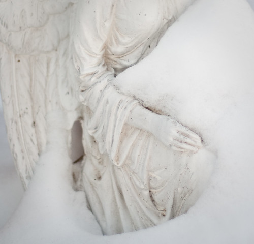 Snow Angel - cropped