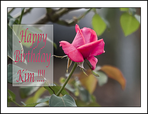Happy Birthday, Kim !! (Sir Frog) Posted 18 months ago. ( permalink )