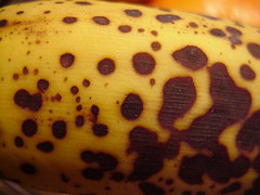 banana-macro