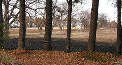 after the fire