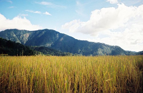 Mt Ugu as seen from Lusod