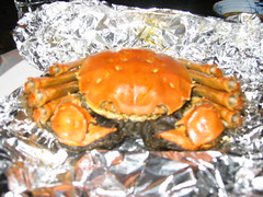 Crabs 002