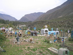 Colorful Graveyard
