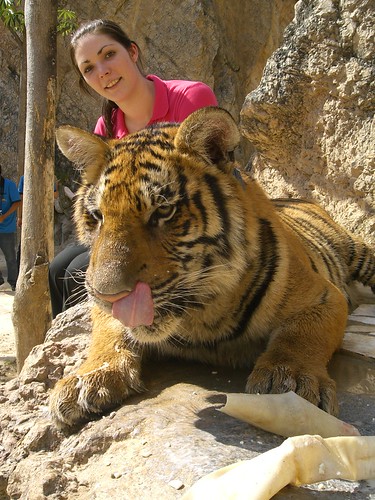 Me with the Tigers 