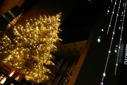Holiday White Tree 2005　*istD SMC16mm-45mm
