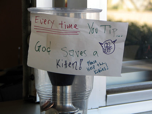 Tip Jar Sign - God Saves a Kitten