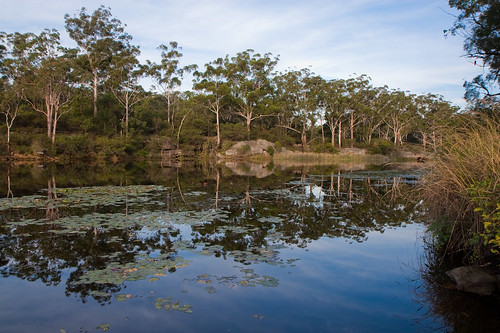 The reservoir of Lake Parramatta