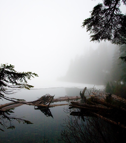 Frozen & Foggy Lake Serene