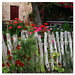 Formentera - Old Fence