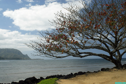 Kauai189