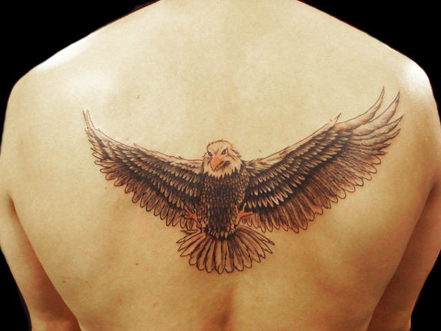 american flag eagle tattoo. American Eagle Pictures
