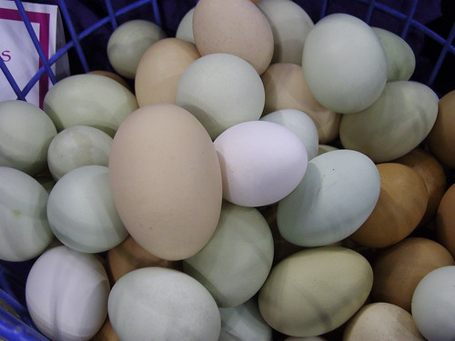 Naturally colourful eggs