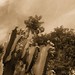 Ibiza - Cactus e cielo
