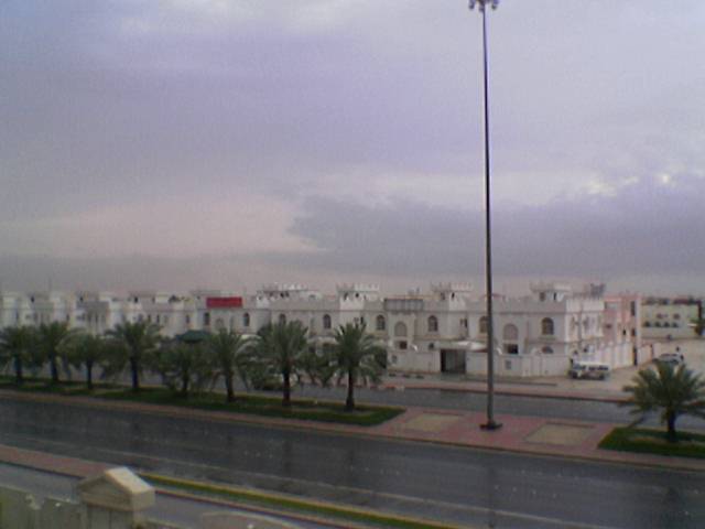 Wet Doha Road