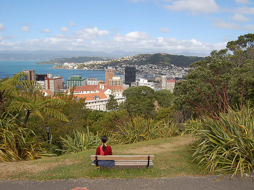 Relaxing above Wellington