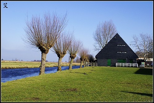 荷蘭-風車村