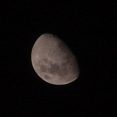 Moon at 11.30pm