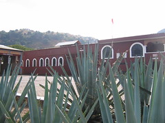 La Cofradia Distillery
