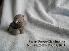 Stuart Pierce Glendinning: Nov 14, 2005 - Dec 29, 2005