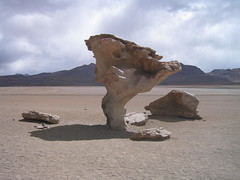 Arbole de Piedra, Stone tree