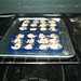 Sour Cream Blueberry Muffins - mini muffin pan