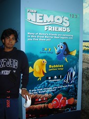 Poster Finding Nemo Kat Dlm Sydney Aquarium, Sydney, Australia