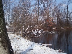 snow on the pond 2