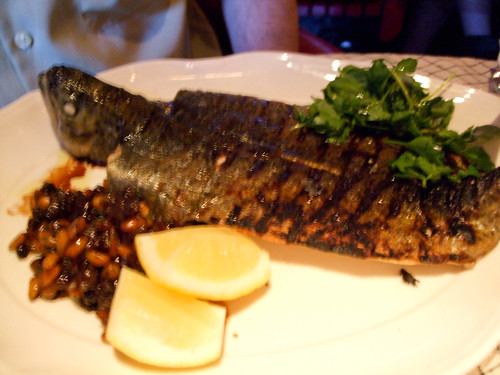 Grilled Trout, the Standard Grill