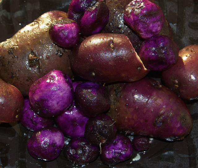 purple potatoes | Flickr - Photo Sharing!