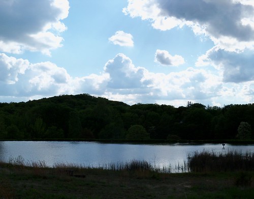 Pond View