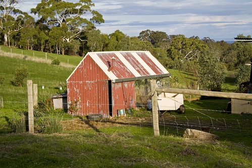 The chook shed