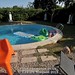 Ibiza - Pool animals