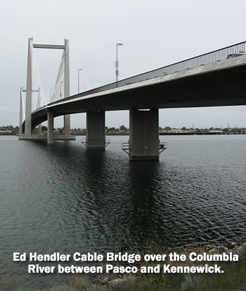 Ed Hendler Cable Bridge