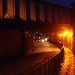 Night Bridge 2