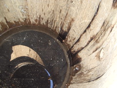 inside of a whiskey barrel
