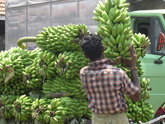 Koyambedu Market