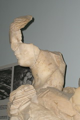 Head of the Statue