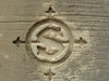 S in circle