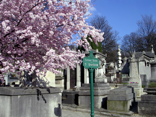 Blommande träd på Père Lachaise-kyrkogården