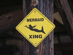 Watch For Mermaids