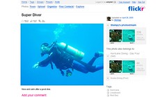 Flickr diver