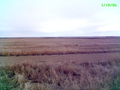 open prairie